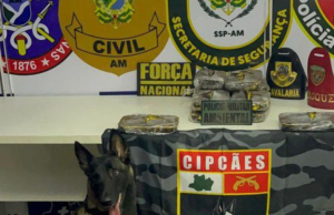 Base Arpão 3: Cadela policial encontra 13 quilos de coc@ína escondido em armário de embarcaçãoUm homem de 22 anos foi preso na ação. Base Arpão 3 Cadela policial encontra 13 quilos de coc@ína escondido em armário de embarcação