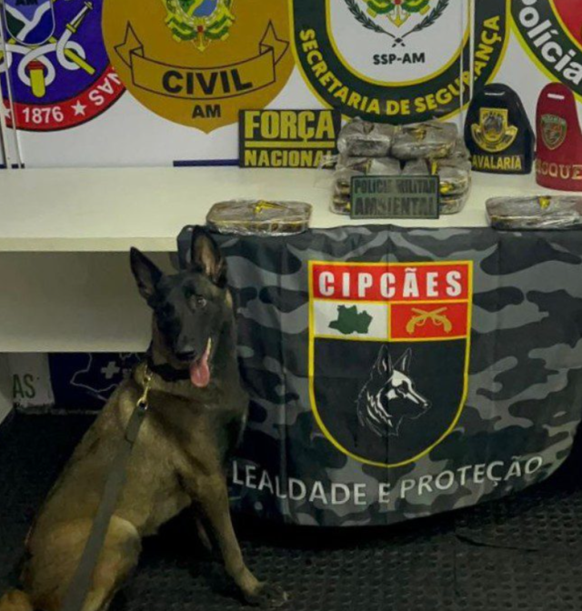 Base Arpão 3 Cadela policial encontra 13 quilos de coc@ína escondido em armário de embarcação Base Arpão 3 Cadela policial encontra 13 quilos de coc@ína escondido em armário de embarcação