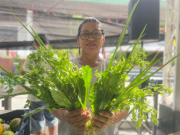 Feira de Produtos Regionais: ADS divulga a programação desta semana Feira de Produtos Regionais ADS divulga a programação desta semana