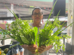 Feira de Produtos Regionais: ADS divulga a programação desta semana Feira de Produtos Regionais ADS divulga a programação desta semana