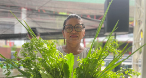 Feira de Produtos Regionais: ADS divulga a programação desta semanaAs edições são realizadas em pontos estratégicos da capital e na zona rural. Feira de Produtos Regionais ADS divulga a programação desta semana