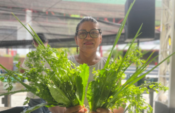 Feira de Produtos Regionais: ADS divulga a programação desta semana Feira de Produtos Regionais ADS divulga a programação desta semana