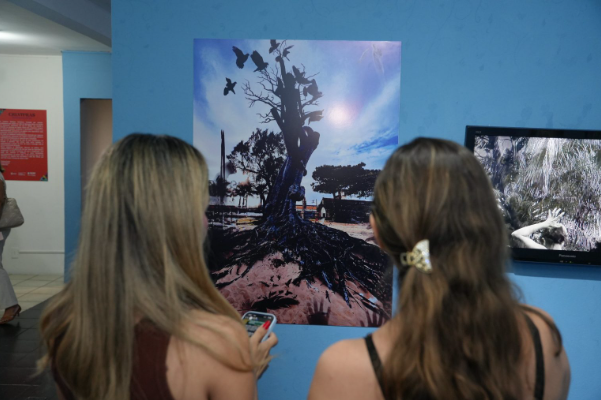 Galeria do Largo completa 20 anos e inicia comemoração com a exposição ‘Criaturas’1