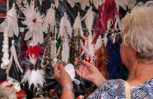 Festival de Parintins 2026: Amazonastur intensifica conscientização ambiental com campanha ‘Turismo sem Penas’