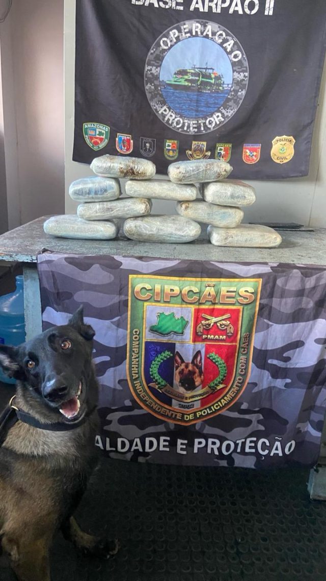 Base Arpão 2: Polícia encontra maconha do tipo skunk escondida em caixas com peixes e açaí Base Arpão 2: Polícia encontra maconha do tipo skunk escondida em caixas com peixes e açaí
