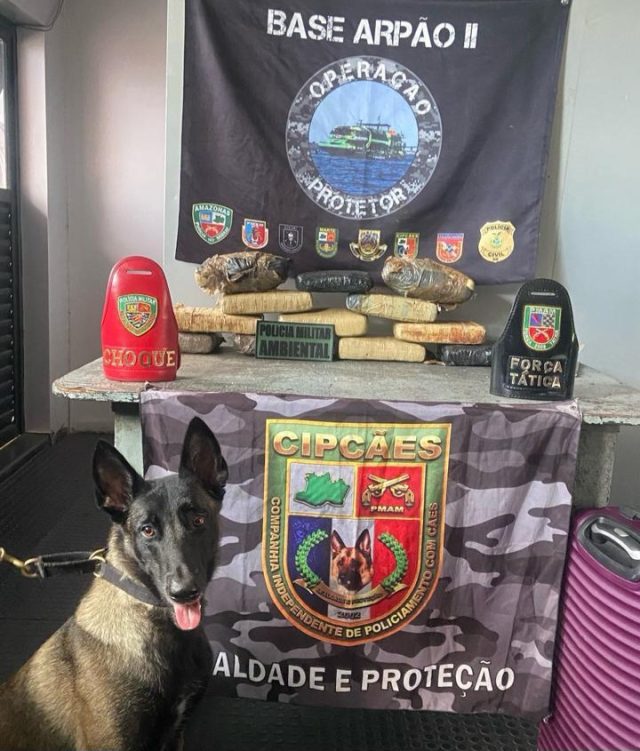 Base Arpão 2: Cão policial localiza mais de 13 quilos de maconha escondidos em mala durante abordagem Base Arpão 2: Cão policial localiza mais de 13 quilos de maconha escondidos em mala durante abordagem