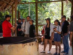 Semana Nacional de Museus promove atividades culturais e experiências imersivas no Museu do Seringal Semana Nacional de Museus promove atividades culturais e experiências imersivas no Museu do Seringal