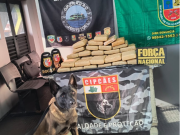 Base Arpão 2: Forças de Segurança apreende 37 quilos de skunk escondidos em sacas de farinha Base Arpão 2: Forças de Segurança apreende 37 quilos de skunk escondidos em sacas de farinha