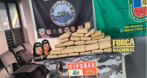 Base Arpão 2: Forças de Segurança apreende 37 quilos de skunk escondidos em sacas de farinhaA apreensão foi realizada com apoio do cão policial Sheriff. Base Arpão 2: Forças de Segurança apreende 37 quilos de skunk escondidos em sacas de farinha