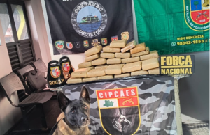 Base Arpão 2: Forças de Segurança apreende 37 quilos de skunk escondidos em sacas de farinhaA apreensão foi realizada com apoio do cão policial Sheriff. Base Arpão 2: Forças de Segurança apreende 37 quilos de skunk escondidos em sacas de farinha