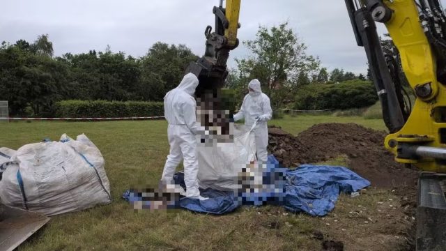 Caso chocante na Polônia: 34 fetos são encontrados em propriedade de médica Caso chocante na Polônia: 34 fetos são encontrados em propriedade de médica