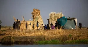 Fome mundial atinge 645 milhões de pessoas, diz relatório da ONUFome e insegurança alimentar estão acima de metas para 2030. Fome mundial atinge 645 milhões de pessoas, diz relatório da ONU