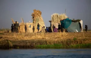 Fome mundial atinge 645 milhões de pessoas, diz relatório da ONUFome e insegurança alimentar estão acima de metas para 2030. Fome mundial atinge 645 milhões de pessoas, diz relatório da ONU