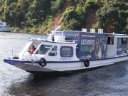Amazonas recebe primeiro Castramóvel Fluvial do mundo para atendimento veterinário em comunidades ribeirinhas Amazonas recebe primeiro Castramóvel Fluvial do mundo para atendimento veterinário em comunidades ribeirinhas