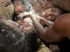 Mãe mantém três filhos vivos ao amamentá-los durante 11 dias sob escombros de terremoto na Venezuela; veja o vídeo Mãe mantém três filhos vivos ao amamentá-los durante 11 dias sob escombros de terremoto na Venezuela; veja o vídeo