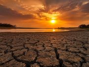 Fenômeno El Niño pode ser o mais intenso desde 1950, aponta agência dos EUA Fenômeno El Niño pode ser o mais intenso desde 1950, aponta agência dos EUA