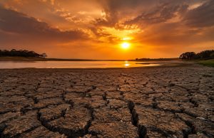Fenômeno El Niño pode ser o mais intenso desde 1950, aponta agência dos EUA Fenômeno El Niño pode ser o mais intenso desde 1950, aponta agência dos EUA