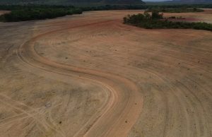 Fim da Moratória da Soja pode ampliar destruição da AmazôniaAções judiciais sobre o tema voltam a ser julgadas no STF em agosto. Fim da Moratória da Soja pode ampliar destruição da Amazônia