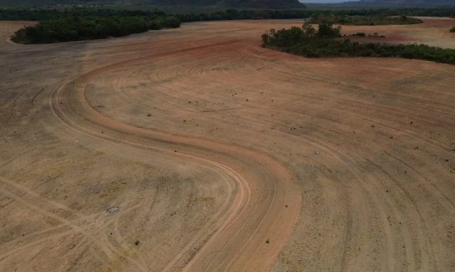 Fim da Moratória da Soja pode ampliar destruição da Amazônia Fim da Moratória da Soja pode ampliar destruição da Amazônia
