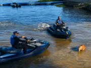 Capivara é morta com flechada na represa de Guarapiranga em SP Capivara é morta com flechada na represa de Guarapiranga em SP