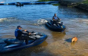 Capivara é morta com flechada na represa de Guarapiranga em SPCaso segue em investigação pela Secretaria do Meio Ambiente da cidade. Capivara é morta com flechada na represa de Guarapiranga em SP